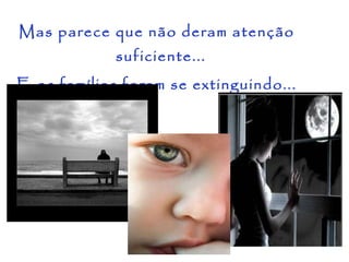 Mas parece que não deram atenção suficiente...  E as famílias foram se extinguindo... 