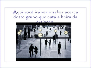 Aqui você irá ver e saber acerca deste grupo que está a beira da extinção. 