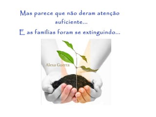 Mas parece que não deram atenção
             suficiente...
E as famílias foram se extinguindo...
 