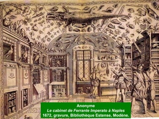 Anonyme Le cabinet de Ferrante Imperato à Naples 1672, gravure, Bibliothèque Estense, Modène. 