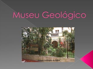 Museu Geológico 