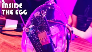 INSIDE
THE EGG