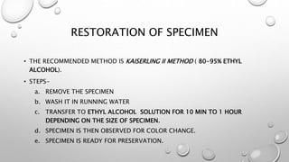 RESTORATION OF SPECIMEN
• THE RECOMMENDED METHOD IS KAISERLING II METHOD ( 80-95% ETHYL
ALCOHOL).
• STEPS-
a. REMOVE THE S...