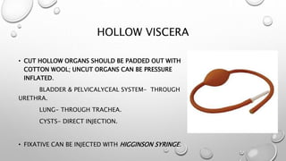 HOLLOW VISCERA
• CUT HOLLOW ORGANS SHOULD BE PADDED OUT WITH
COTTON WOOL; UNCUT ORGANS CAN BE PRESSURE
INFLATED.
BLADDER &...