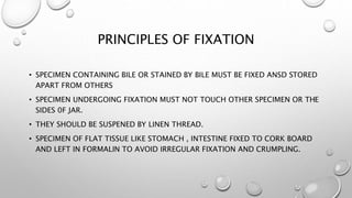 PRINCIPLES OF FIXATION
• SPECIMEN CONTAINING BILE OR STAINED BY BILE MUST BE FIXED ANSD STORED
APART FROM OTHERS
• SPECIME...