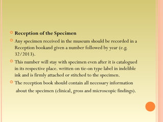 Specimen Reception Show Examples Museum techniques | PPT