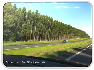 On the road – Rod. Washington Luis
 
