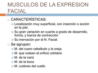 MUSCULOS DE LA EXPRESION
FACIAL
   CARACTERÍSTICAS:
     Localización muy superficial, con inserción o acción
      en la piel.
     Su gran variación en cuanto a grado de desarrollo,
      forma, y fuerza de contracción
     Su inervación por el N. Facial.

   Se agrupan:
     M. del cuero cabelludo y la oreja.
     M. que rodean el orificio orbitario
     M. de la nariz
     M. de la boca
     M. cutáneo del cuello
 