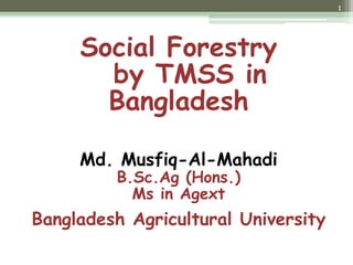 Social Forestry
by TMSS in
Bangladesh
Md. Musfiq-Al-Mahadi
B.Sc.Ag (Hons.)
Ms in Agext
Bangladesh Agricultural University
1
 