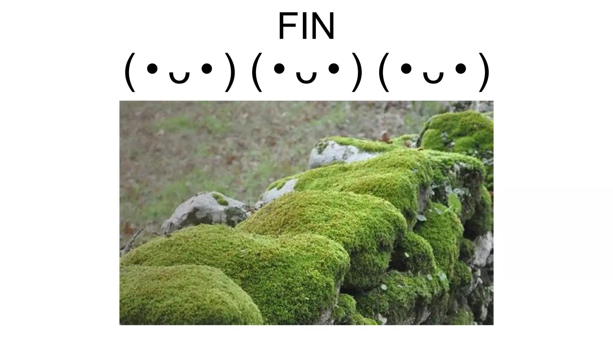 FIN
( • ᴗ • ) ( • ᴗ • )( • ᴗ • )
 