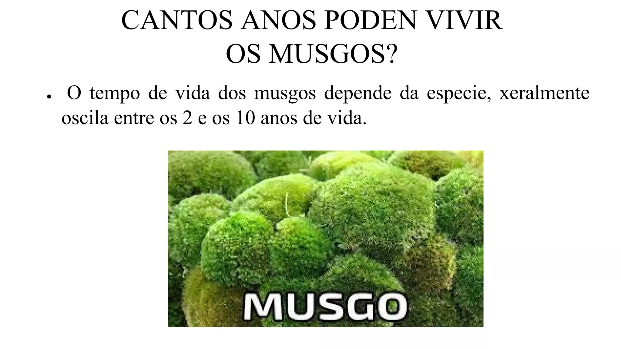 CANTOS ANOS PODEN VIVIR
OS MUSGOS?
● O tempo de vida dos musgos depende da especie, xeralmente
oscila entre os 2 e os 10 anos de vida.
 