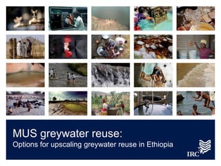 MUS greywater reuse:
Options for upscaling greywater reuse in Ethiopia
 