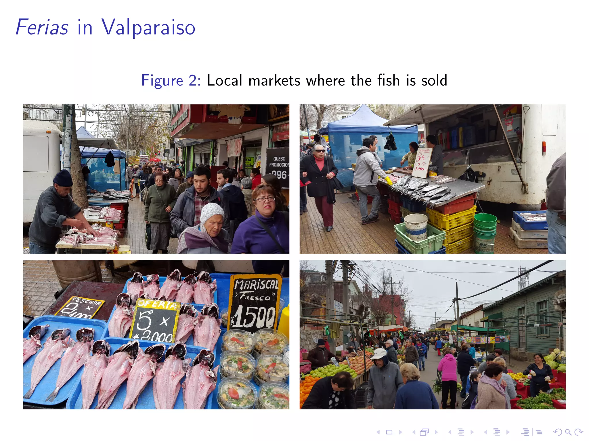 Ferias in Valparaiso
Figure 2: Local markets where the sh is sold
 