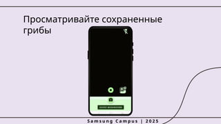 Просматривайте сохраненные
грибы
S a m s u n g C a m p u s | 2 0 2 5
 