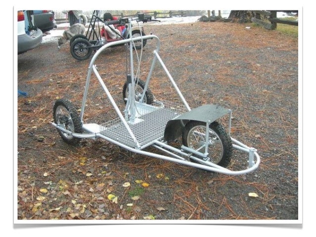 triciclo mushing