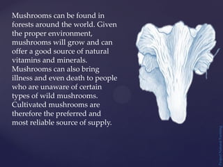 Mushrooms can be found in
forests around the world. Given
the proper environment,
mushrooms will grow and can
offer a good source of natural
vitamins and minerals.
Mushrooms can also bring
illness and even death to people
who are unaware of certain
types of wild mushrooms.
Cultivated mushrooms are
therefore the preferred and
most reliable source of supply.
Project
Natural
Farming
 