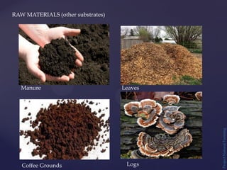 Project
Natural
Farming
RAW MATERIALS (other substrates)
Manure
Logs
Leaves
Coffee Grounds
 