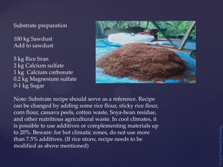 Project
Natural
Farming
Substrate preparation
100 kg Sawdust
Add to sawdust
5 kg Rice bran
2 kg Calcium sulfate
1 kg Calcium carbonate
0.2 kg Magnesium sulfate
0-1 kg Sugar
Note: Substrate recipe should serve as a reference. Recipe
can be changed by adding some rice flour, sticky rice flour,
corn flour, cassava peels, cotton waste, Soya-bean residue,
and other nutritious agricultural waste. In cool climates, it
is possible to use additives or complementing materials up
to 20%. Beware: for hot climatic zones, do not use more
than 7.5% additives. (If rice straw, recipe needs to be
modified as above mentioned)
 
