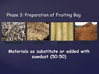 Phase 3: Preparation of Fruiting Bag
Banana Leaves Corn hay Corn cob Coir Dust
Materials as substitute or added with
sawdust (50:50)
 