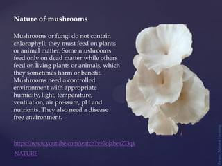 Project
Natural
Farming
Nature of mushrooms
Mushrooms or fungi do not contain
chlorophyll; they must feed on plants
or animal matter. Some mushrooms
feed only on dead matter while others
feed on living plants or animals, which
they sometimes harm or benefit.
Mushrooms need a controlled
environment with appropriate
humidity, light, temperature,
ventilation, air pressure, pH and
nutrients. They also need a disease
free environment.
https://www.youtube.com/watch?v=7ojzbeaZDqk
NATURE
 