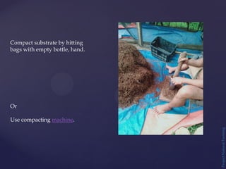 Project
Natural
Farming
Compact substrate by hitting
bags with empty bottle, hand.
Or
Use compacting machine.
 