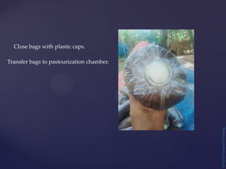 Project
Natural
Farming
Transfer bags to pasteurization chamber.
Close bags with plastic caps.
 