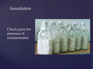 Project
Natural
Farming
Inoculation
Check pure for
presence if
contaminants
 