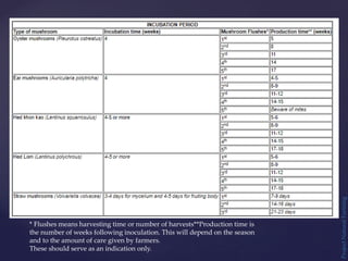 Project
Natural
Farming
* Flushes means harvesting time or number of harvests**Production time is
the number of weeks following inoculation. This will depend on the season
and to the amount of care given by farmers.
These should serve as an indication only.
 