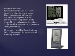 Temperature control
Temperature control is done to some
extent by wetting the jute covering.
The evaporation that will take place
will lower the temperature in the
growing rooms. Temperature can be
lowered by several degrees, depending
on the outside temperature and air current
through the netting,.
Hygrometer Humidity Gauge Indicator
Indoor Thermometer Temperature And
Humidity Monitor
 