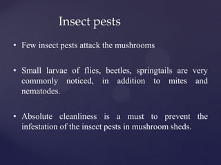 Insect pests
• Few insect pests attack the mushrooms
• Small larvae of flies, beetles, springtails are very
commonly noticed, in addition to mites and
nematodes.
• Absolute cleanliness is a must to prevent the
infestation of the insect pests in mushroom sheds.
 