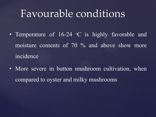 Favourable conditions
• Temperature of 16-24 oC is highly favorable and
moisture contents of 70 % and above show more
incidence
• More severe in button mushroom cultivation, when
compared to oyster and milky mushrooms
 