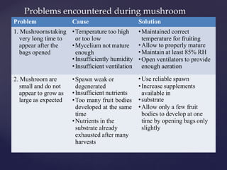 Problems encountered during mushroom
Problem Cause Solution
1. Mushroomstaking
very long time to
appear after the
bags opened
•Temperature too high
or too low
•Mycelium not mature
enough
•Insufficiently humidity
•Insufficient ventilation
•Maintained correct
temperature for fruiting
•Allow to properly mature
•Maintain at least 85% RH
•Open ventilators to provide
enough aeration
2. Mushroom are
small and do not
appear to grow as
large as expected
•Spawn weak or
degenerated
•Insufficient nutrients
•Too many fruit bodies
developed at the same
time
•Nutrients in the
substrate already
exhausted after many
harvests
•Use reliable spawn
•Increase supplements
available in
•substrate
•Allow only a few fruit
bodies to develop at one
time by opening bags only
slightly
 