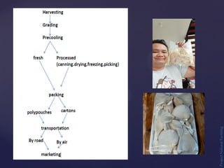 Project
Natural
Farming
 