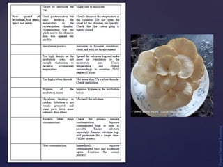 Project
Natural
Farming
 