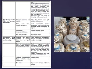 Project
Natural
Farming
 