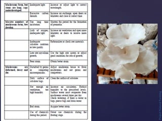 Project
Natural
Farming
 