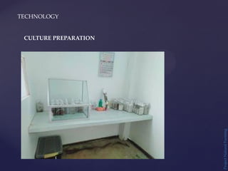 TECHNOLOGY
Project
Natural
Farming
CULTURE PREPARATION
 