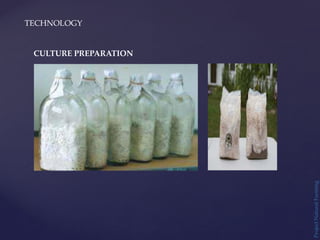 TECHNOLOGY
Project
Natural
Farming
CULTURE PREPARATION
 