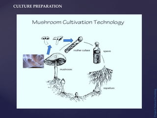 CULTURE PREPARATION
Project
Natural
Farming
 