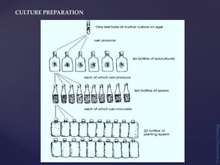 CULTURE PREPARATION
Project
Natural
Farming
 
