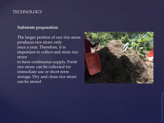 TECHNOLOGY
Project
Natural
Farming
Substrate preparation
The larger portion of our rice areas
produces rice straw only
once a year. Therefore, it is
important to collect and store rice
straw
to have continuous supply. Fresh
rice straw can be collected for
immediate use or short-term
storage. Dry and clean rice straw
can be stored
 