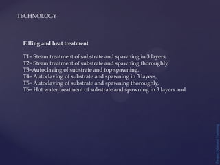 TECHNOLOGY
Project
Natural
Farming
Filling and heat treatment
T1= Steam treatment of substrate and spawning in 3 layers,
T2= Steam treatment of substrate and spawning thoroughly,
T3=Autoclaving of substrate and top spawning,
T4= Autoclaving of substrate and spawning in 3 layers,
T5= Autoclaving of substrate and spawning thoroughly,
T6= Hot water treatment of substrate and spawning in 3 layers and
 
