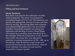 TECHNOLOGY
Project
Natural
Farming
Filling and heat treatment
Steam Treatment
Rice straw was used for the cultivation of milky
white mushroom. The straw was chopped to
convenient length of 2.5 to 5 cm. The substrate was
mixed with appropriate amount of water and then
filled in net bag. The net bag filled with substrate
were placed in the sterilization cum inoculation
chamber. Door of the chamber was closed and
tightened with the help of screws. Water heater
was turned on to produce steam that flows in to
the chamber. When the temperature of the chamber
rises to 60C, the steam flow was adjusted to
maintain a constant temperature of 70C – 80C up to
90 minutes. After 90 minutes water heater was
turned off and kept it for about 20 hours. After 20
hours substrate was taken out and used for
preparation of spawn packet.
 