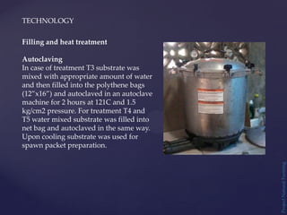 TECHNOLOGY
Project
Natural
Farming
Filling and heat treatment
Autoclaving
In case of treatment T3 substrate was
mixed with appropriate amount of water
and then filled into the polythene bags
(12”x16”) and autoclaved in an autoclave
machine for 2 hours at 121C and 1.5
kg/cm2 pressure. For treatment T4 and
T5 water mixed substrate was filled into
net bag and autoclaved in the same way.
Upon cooling substrate was used for
spawn packet preparation.
 
