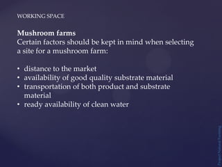 WORKING SPACE
Project
Natural
Farming
Mushroom farms
Certain factors should be kept in mind when selecting
a site for a mushroom farm:
• distance to the market
• availability of good quality substrate material
• transportation of both product and substrate
material
• ready availability of clean water
 