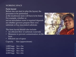 WORKING SPACE
Project
Natural
Farming
Farm layout
Before one can start to plan the layout, the
processes to be performed
at the mushroom farm will have to be listed.
For example, whether or
not an inoculation room is required depends
on whether growers prepare their own
substrate or buy inoculated substrate.
The farm layout should also include:
• An efficient flow of substrate materials
• Measures to prevent contamination on the
farm
• Efficient use of space
Capacity Size (approximate)
1,000 bags 2m x 3m
2,000 bags 3m x 4m
3,000 bags 4m x 5m
4,000 bags 5m x 6m
 