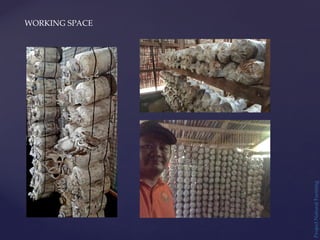 Project
Natural
Farming
WORKING SPACE
 