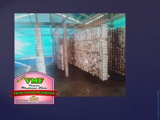 Project
Natural
Farming
 