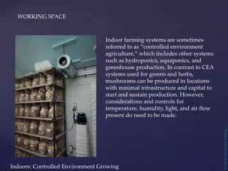 Project
Natural
Farming
WORKING SPACE
Indoors: Controlled Environment Growing
Indoor farming systems are sometimes
referred to as “controlled environment
agriculture,” which includes other systems
such as hydroponics, aquaponics, and
greenhouse production. In contrast to CEA
systems used for greens and herbs,
mushrooms can be produced in locations
with minimal infrastructure and capital to
start and sustain production. However,
considerations and controls for
temperature, humidity, light, and air flow
present do need to be made.
 