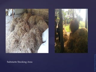 Substarte Stocking Area
Project
Natural
Farming
 